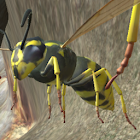 Wasp Nest Simulator - Insect a 2.4.4