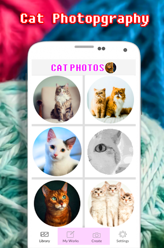 Cat Photography Coloring Book - Color By Number