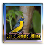 Canto Guriata Offline icon