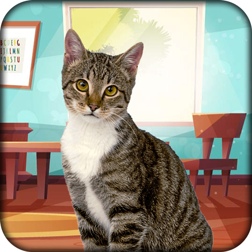 Descargar simulador de gato:juego gatito para PC (emulador gratuito) -  LDPlayer