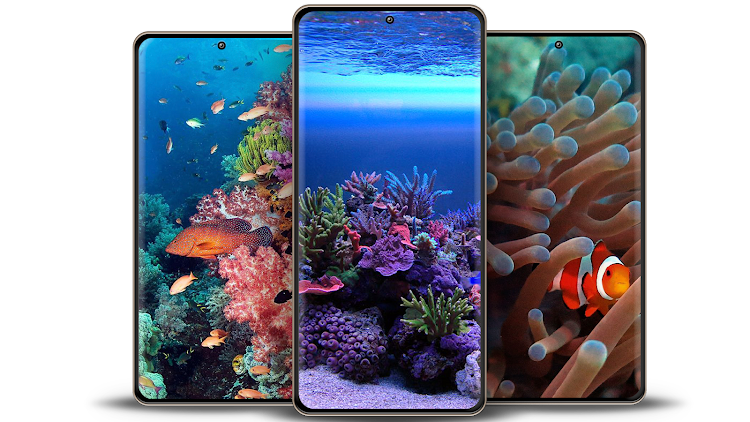 Coral Reef Wallpaper - 6.1.0 - (Android)