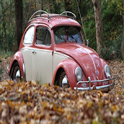 Volkswagen Beetle  Icon