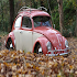 Volkswagen Beetle1.0.6