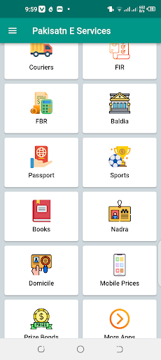 Pakistan E Services online