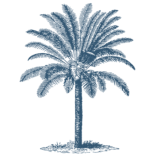 Casa Palmera - AppWisp.com