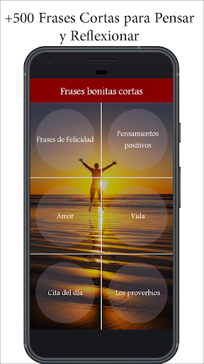 Vista previa de la aplicación