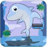 ? dolphin show games icon