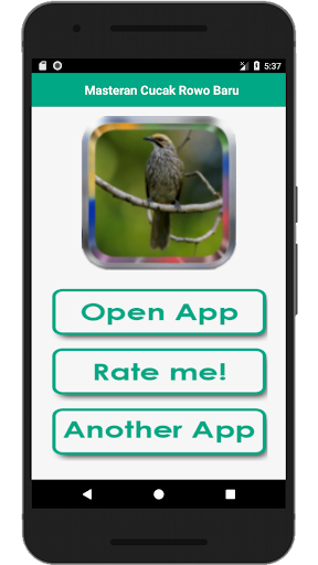 Kicau Masteran Cucak Rowo