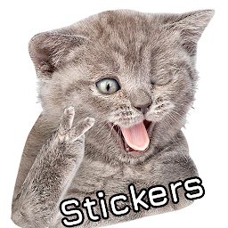 Icon image WASticker: Cat Stickers