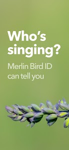 Merlin Bird ID by Cornell Lab Unknown