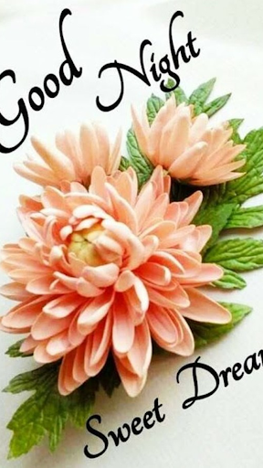 Android application Beautiful Good Night Pictures screenshort