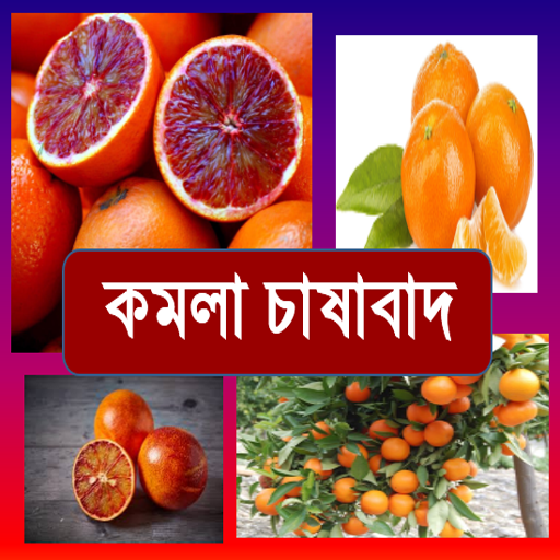কমলা চাষাবাদ~Orange logo