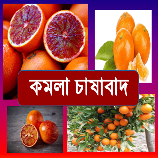 কমলা চাষাবাদ~Orange 10.10 Icon