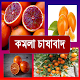 কমলা চাষাবাদ~Orange Cultivation Download on Windows