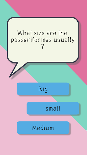 Bird quiz game Screen 2