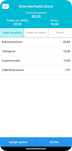 Vista previa de la aplicación