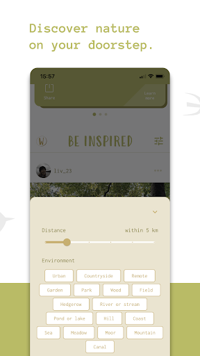 Wylder Screen 3