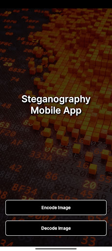 Steganography