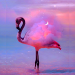 Cover Image of Baixar Flamingo Wallpaper 1.7 APK