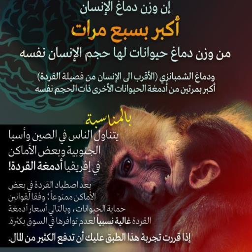 معلومه فى صوره logo