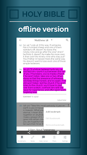 Message Bible: offline version