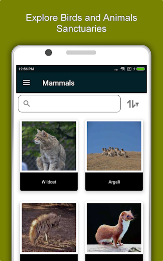 Azerbaijan Travel  Explore, Offline Tourist Guide