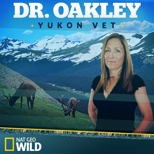 Dr. Oakley, Yukon Vet TV on Google Play