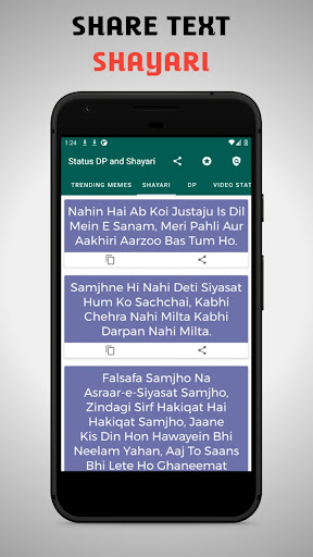Status DP Video and Memes