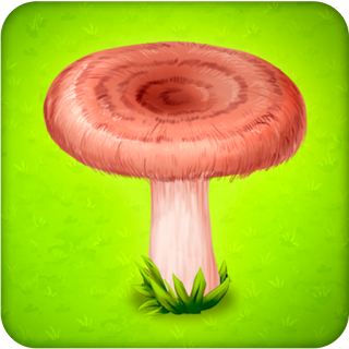 Forest Clans - Mushroom Farm apk