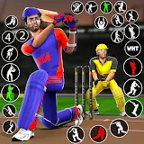 Bat & Ball: Play Cricket Games icon
