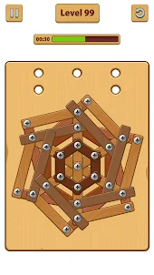 Wood Nuts Bolts - Wood Puzzle