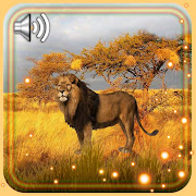 Lion Jungle Live Wallpaper  Icon