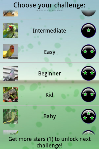 Memory Challenge Screen 2