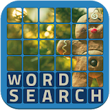 Wordsearch Revealer Christmas icon