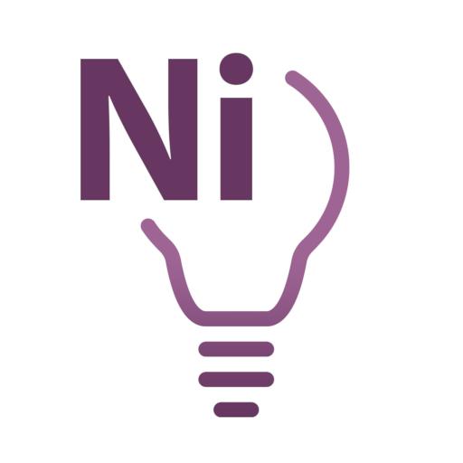Noetic Insight logo