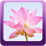 Top 38 Books & Reference Apps Like Bat Nha Tam Kinh - Kinh Phat - Best Alternatives