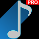 Black Music Pro Windowsでダウンロード