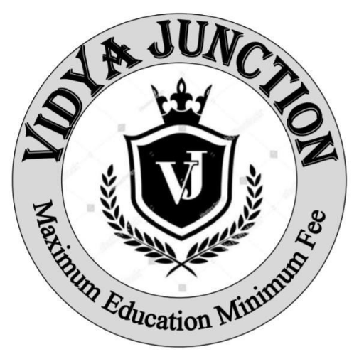 Vidya Junction logo