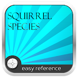Squirrel Species icon