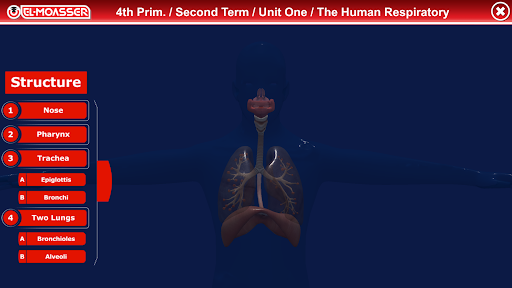 Android application Respiratory System screenshort