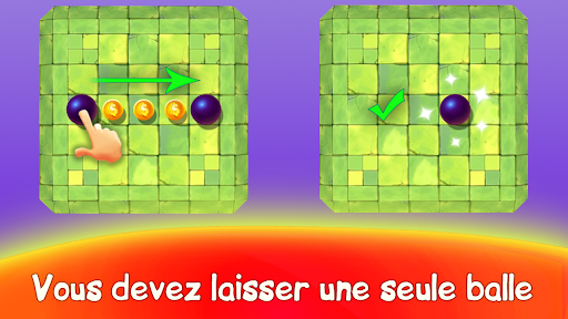 Aperçu de l'application