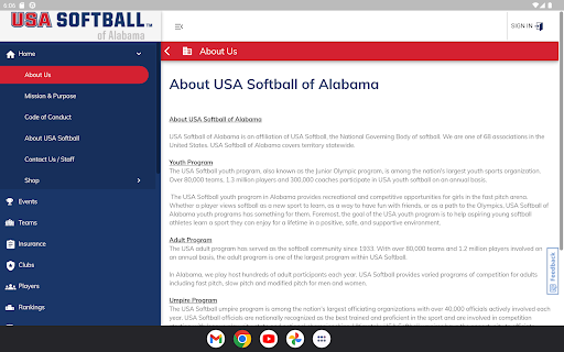 USA Softball of Alabama