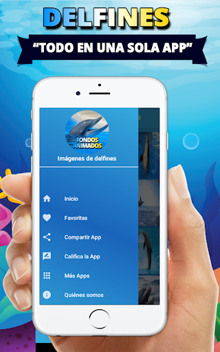 Fondos de pantalla de delfines