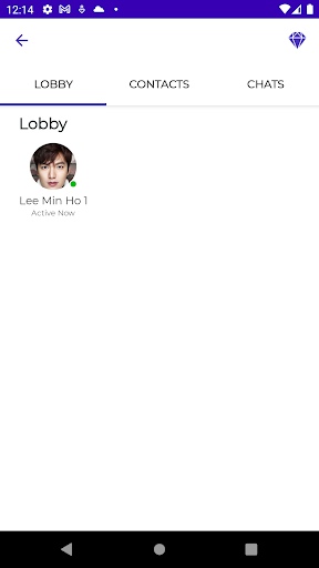 Lee Min Ho Fake Video Call Screen 2