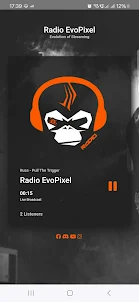 Radio EvoPixel
