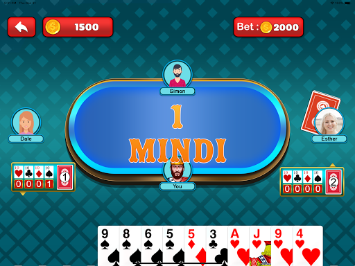 Mindi Coat Screen 2