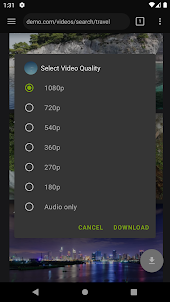 Video Downloader