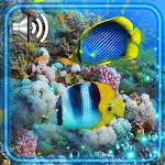 Cover Image of Download Fishes Life Live Wallpaper 1.2 APK