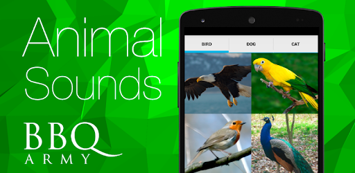 動物の鳴き声 犬 猫 鳥 Google Play のアプリ