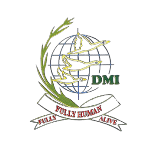 DMICE logo